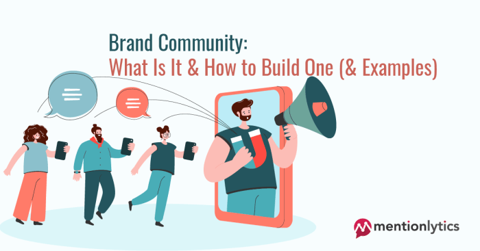 Building an Online Brand Community