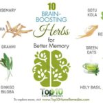 Herbs for improving focus Enhance concentration naturally