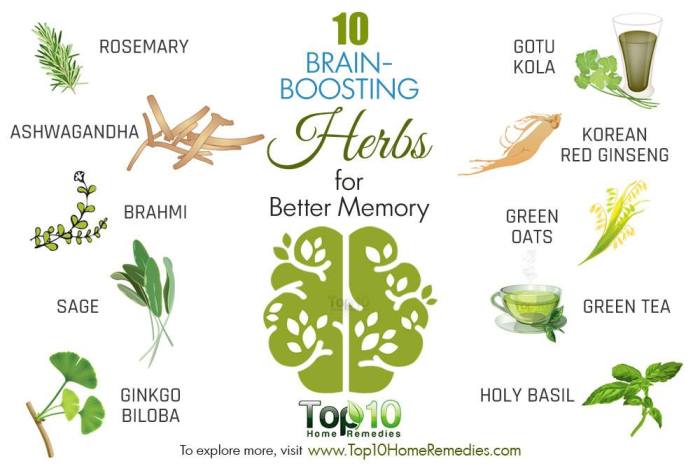 Herbs for improving focus Enhance concentration naturally