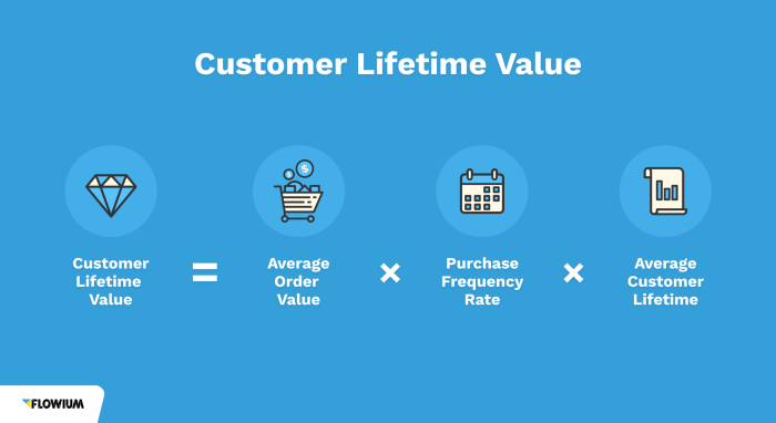 Understanding Lifetime Customer Value Maximizing Customer Relationships