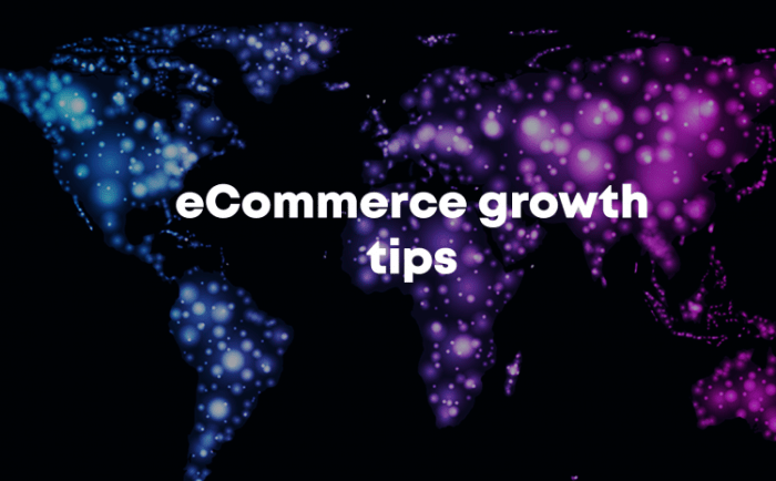 E-commerce Growth Tips Boost Your Online Business Success