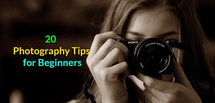 Photography Tips for Beginners Mastering the Basics for Stellar Shots