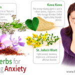 Herbs for reducing anxiety and stress Natural Remedies for Calm